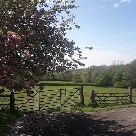 Moaps Farm B&B Support Small Business, Welcome, Check In From 5 Pm Danehill エクステリア 写真