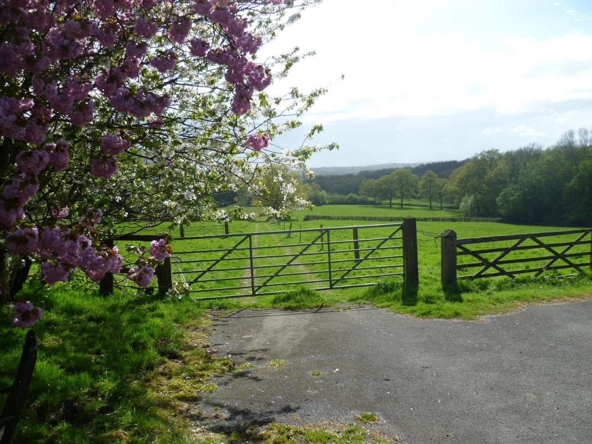 Moaps Farm B&B Support Small Business, Welcome, Check In From 5 Pm Danehill エクステリア 写真