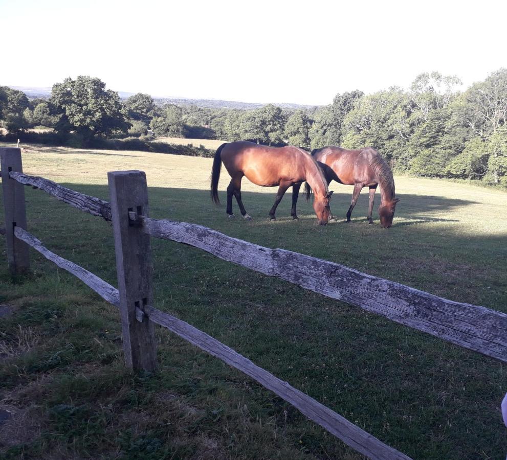 Moaps Farm B&B Support Small Business, Welcome, Check In From 5 Pm Danehill エクステリア 写真