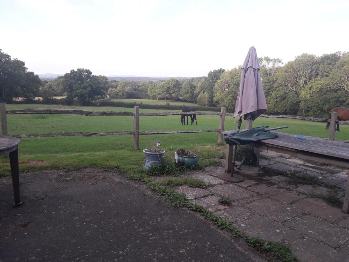 Moaps Farm B&B Support Small Business, Welcome, Check In From 5 Pm Danehill エクステリア 写真