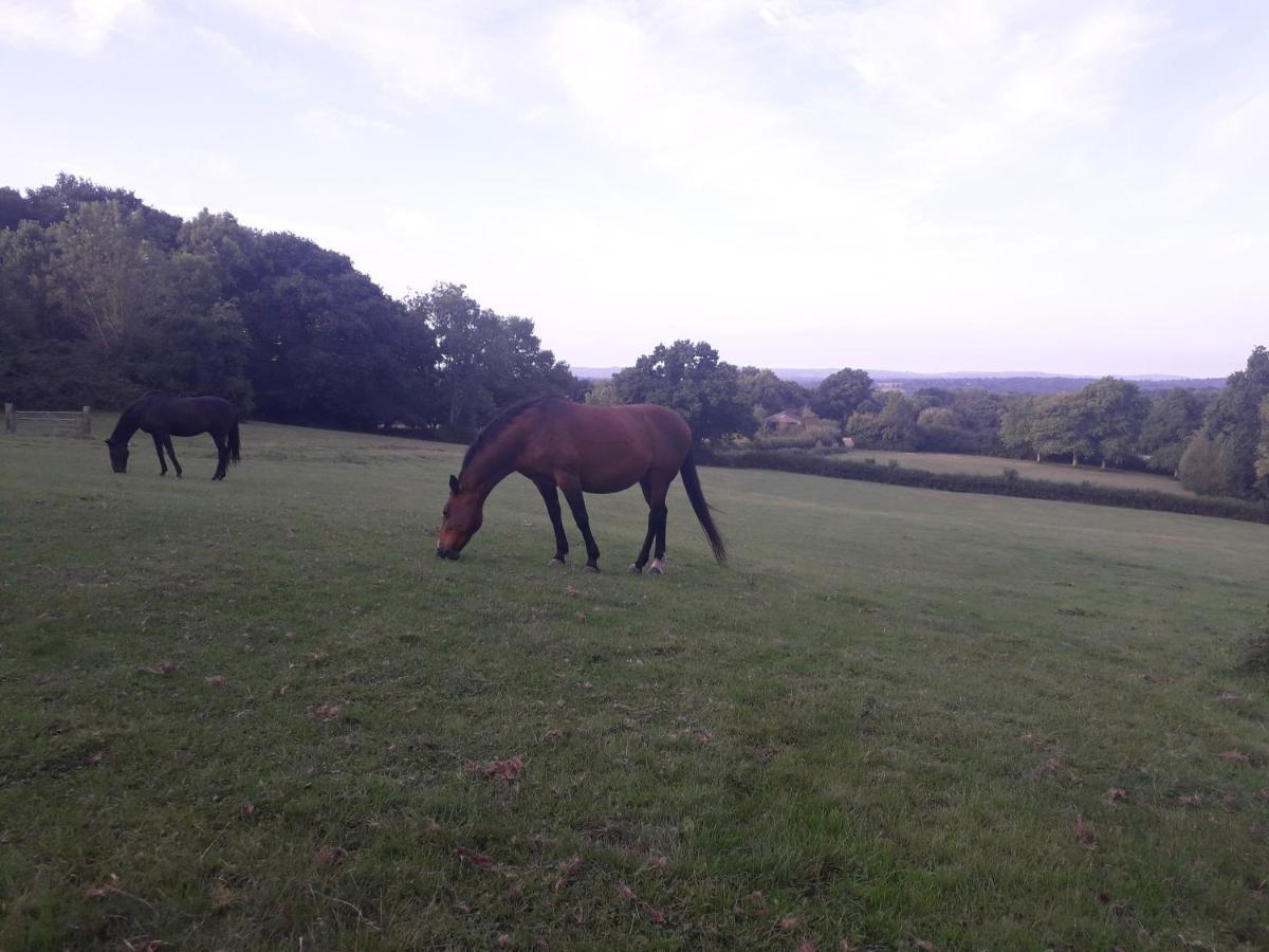Moaps Farm B&B Support Small Business, Welcome, Check In From 5 Pm Danehill エクステリア 写真