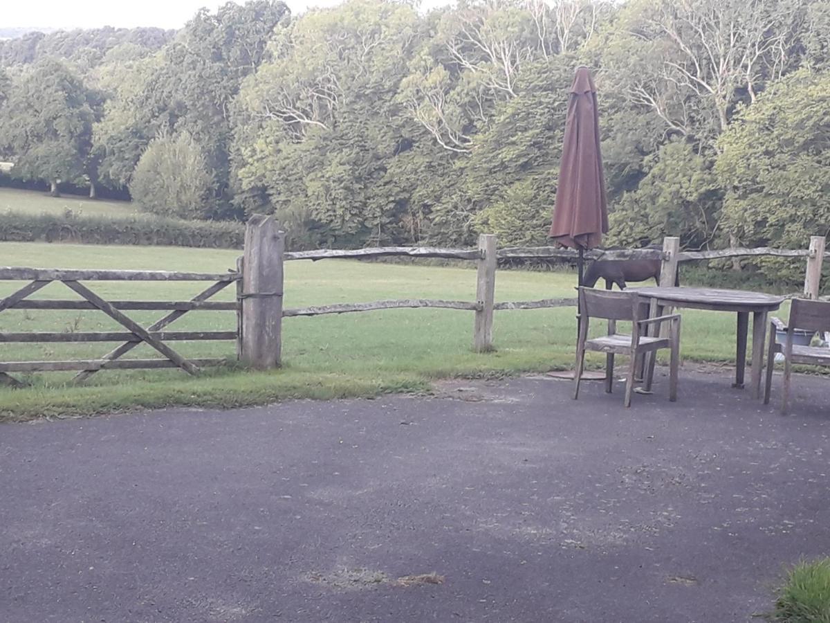 Moaps Farm B&B Support Small Business, Welcome, Check In From 5 Pm Danehill エクステリア 写真