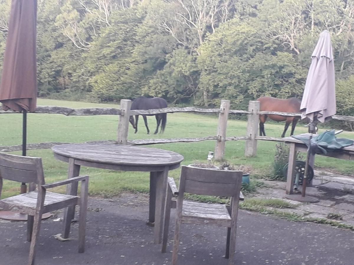 Moaps Farm B&B Support Small Business, Welcome, Check In From 5 Pm Danehill エクステリア 写真