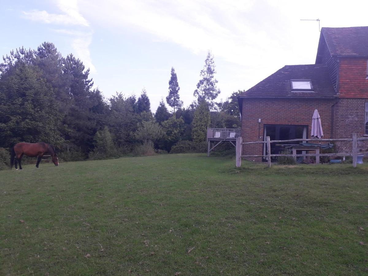 Moaps Farm B&B Support Small Business, Welcome, Check In From 5 Pm Danehill エクステリア 写真