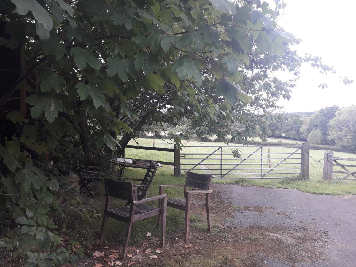 Moaps Farm B&B Support Small Business, Welcome, Check In From 5 Pm Danehill エクステリア 写真