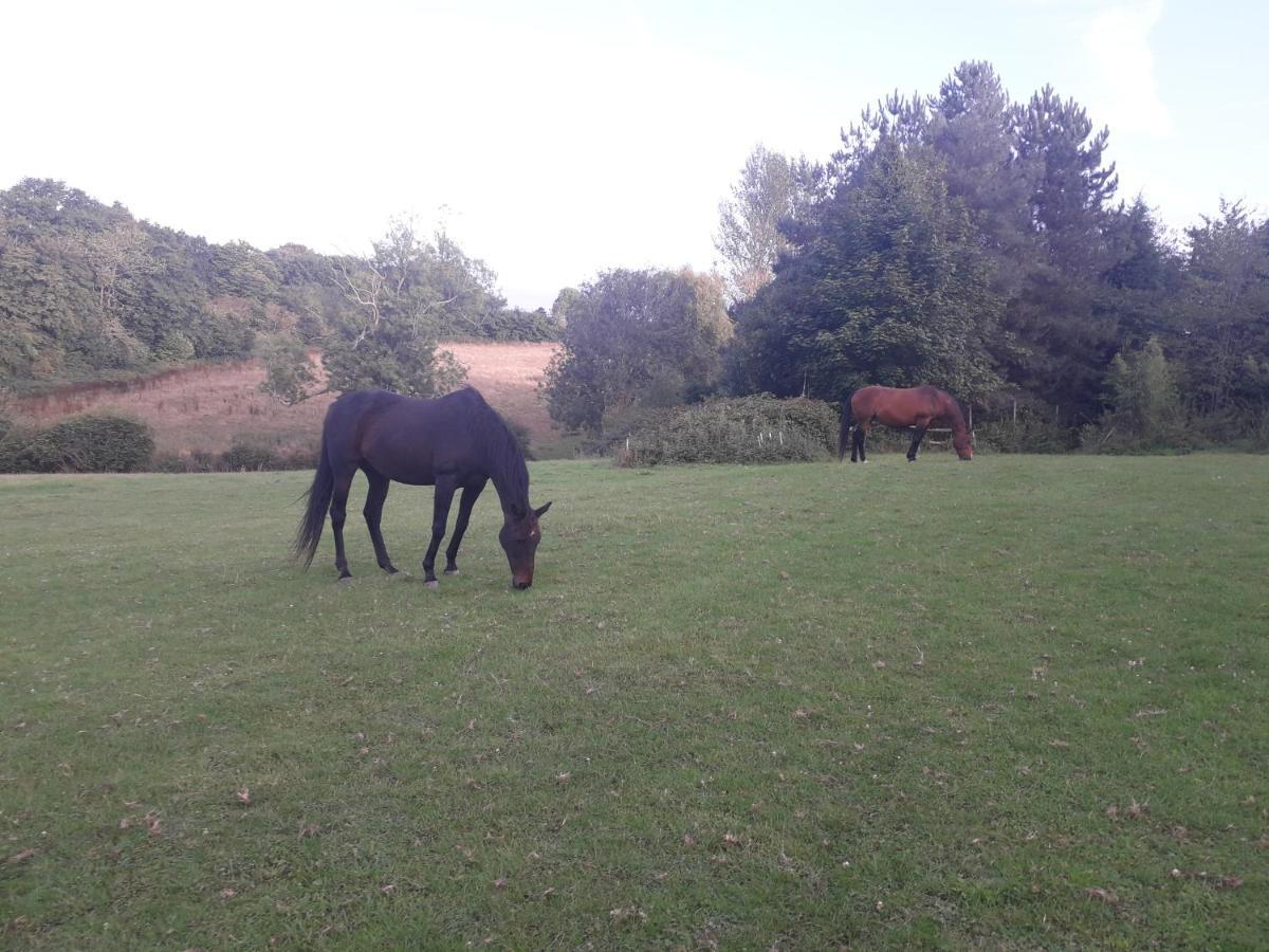 Moaps Farm B&B Support Small Business, Welcome, Check In From 5 Pm Danehill エクステリア 写真