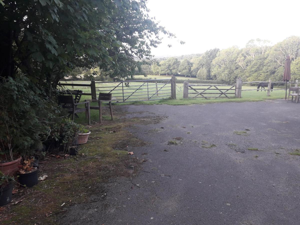Moaps Farm B&B Support Small Business, Welcome, Check In From 5 Pm Danehill エクステリア 写真