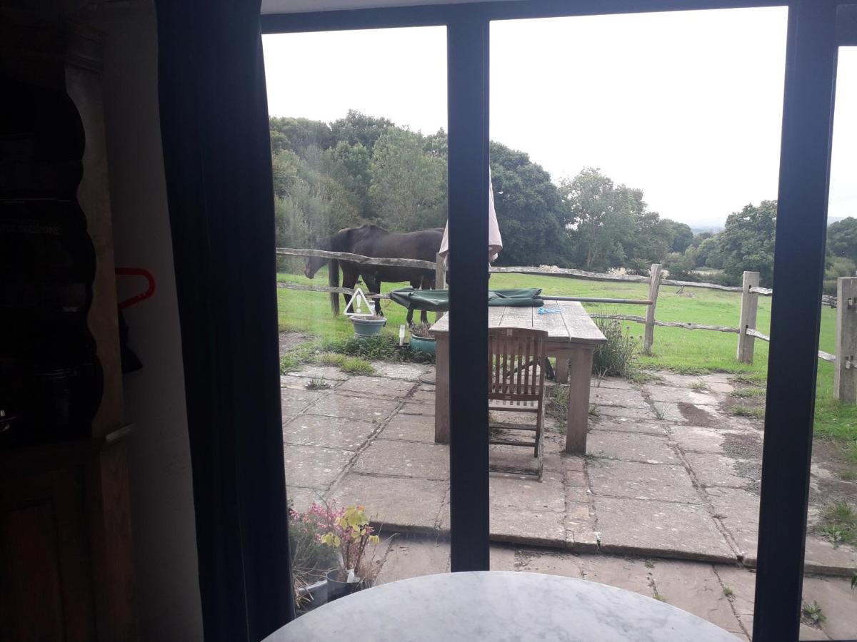 Moaps Farm B&B Support Small Business, Welcome, Check In From 5 Pm Danehill エクステリア 写真
