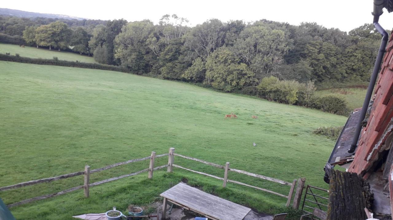 Moaps Farm B&B Support Small Business, Welcome, Check In From 5 Pm Danehill エクステリア 写真