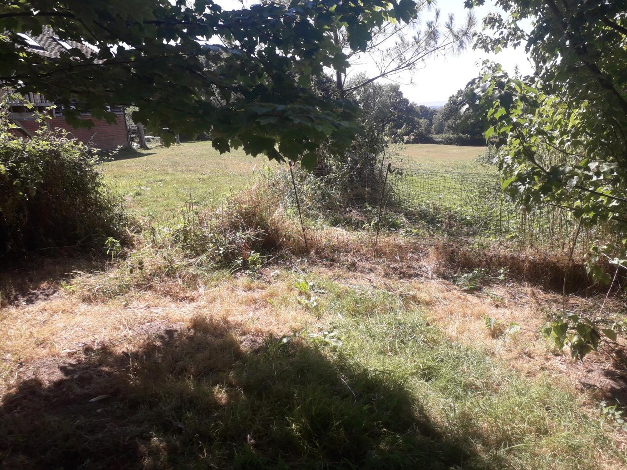 Moaps Farm B&B Support Small Business, Welcome, Check In From 5 Pm Danehill エクステリア 写真