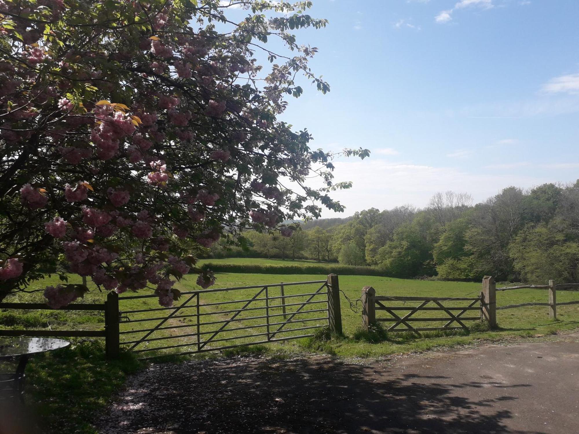 Moaps Farm B&B Support Small Business, Welcome, Check In From 5 Pm Danehill エクステリア 写真